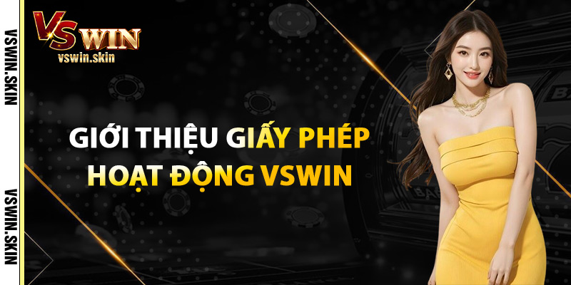 Giới Thiệu Giấy Phép Hoạt Động VSwin